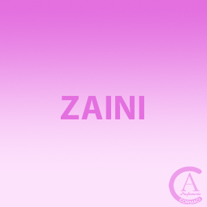 Zaini1
